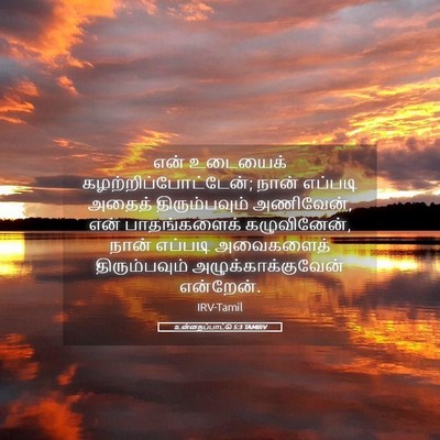 Picture 05 - உன்னதப்பாட்டு 5:3 TAMIRV - என் உடையைக் - Bible Verse Picture