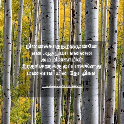 Picture 05 - உன்னதப்பாட்டு 6:12 TAMIRV -  - Bible Verse Picture