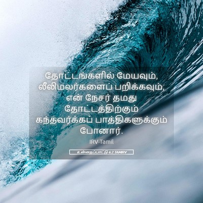 Picture 05 - உன்னதப்பாட்டு 6:2 TAMIRV - தோட்டங்களில் - Bible Verse Picture