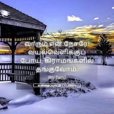 Picture 05 - உன்னதப்பாட்டு 7:11 TAMIRV - வாரும் என் நேசரே! - Bible Verse Picture