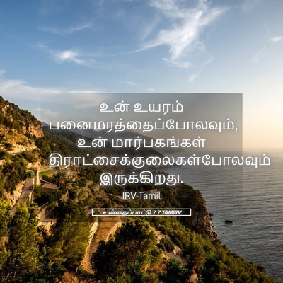 Picture 05 - உன்னதப்பாட்டு 7:7 TAMIRV - உன் உயரம் - Bible Verse Picture