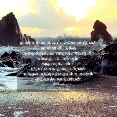 Picture 05 - உன்னதப்பாட்டு 8:2 TAMIRV - நான் உம்மைக் - Bible Verse Picture