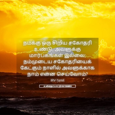 Picture 05 - உன்னதப்பாட்டு 8:8 TAMIRV - நமக்கு ஒரு சிறிய - Bible Verse Picture