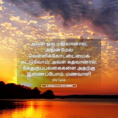 Picture 05 - உன்னதப்பாட்டு 8:9 TAMIRV - அவள் ஒரு - Bible Verse Picture