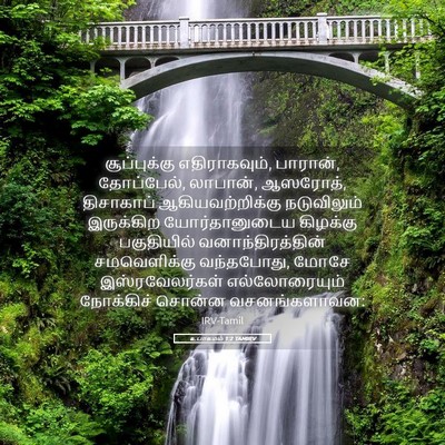 Picture 05 - உபாகமம் 1:2 TAMIRV - சூப்புக்கு - Bible Verse Picture