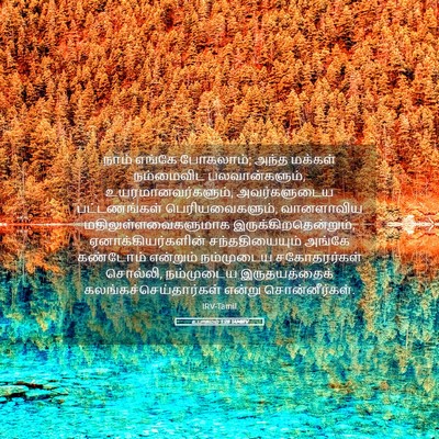 Picture 05 - உபாகமம் 1:28 TAMIRV - நாம் எங்கே - Bible Verse Picture
