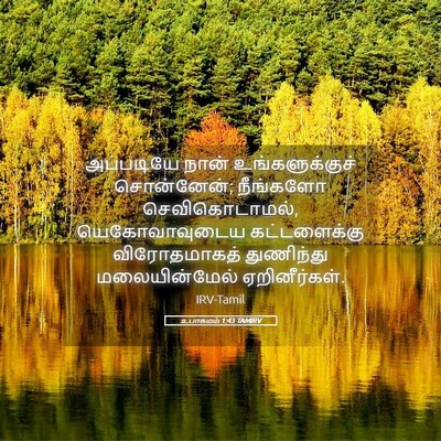 Picture 05 - உபாகமம் 1:43 TAMIRV - அப்படியே நான் - Bible Verse Picture