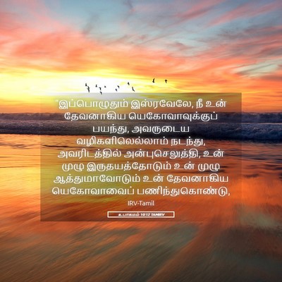 Picture 05 - உபாகமம் 10:12 TAMIRV - “இப்பொழுதும் - Bible Verse Picture
