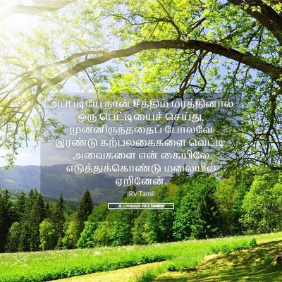 Picture 05 - உபாகமம் 10:3 TAMIRV - அப்படியே நான் - Bible Verse Picture