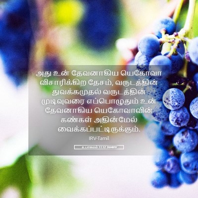 Picture 05 - உபாகமம் 11:12 TAMIRV - அது உன் தேவனாகிய - Bible Verse Picture