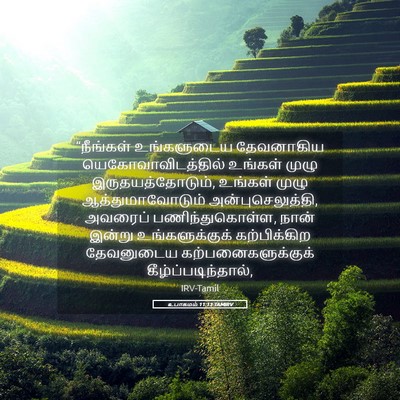 Picture 05 - உபாகமம் 11:13 TAMIRV - “நீங்கள் - Bible Verse Picture