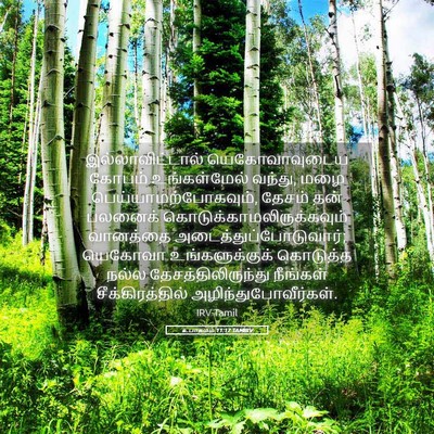 Picture 05 - உபாகமம் 11:17 TAMIRV - இல்லாவிட்டால் - Bible Verse Picture