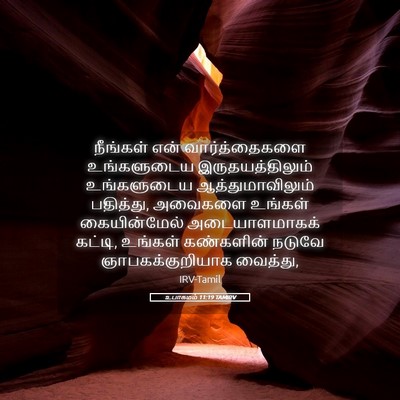 Picture 05 - உபாகமம் 11:19 TAMIRV - நீங்கள் என் - Bible Verse Picture