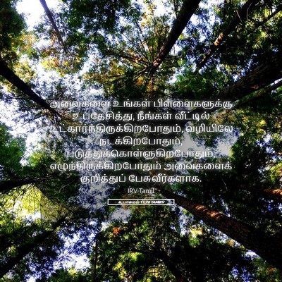 Picture 05 - உபாகமம் 11:20 TAMIRV - அவைகளை உங்கள் - Bible Verse Picture