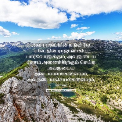 Picture 05 - உபாகமம் 11:3 TAMIRV - அவர் எகிப்தின் - Bible Verse Picture