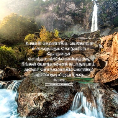 Picture 05 - உபாகமம் 11:31 TAMIRV - உங்கள் தேவனாகிய - Bible Verse Picture
