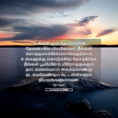 Picture 05 - உபாகமம் 12:1 TAMIRV - “உங்கள் - Bible Verse Picture