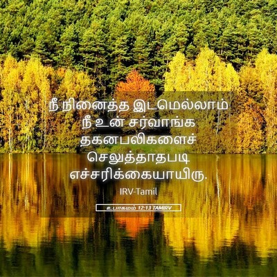 Picture 05 - உபாகமம் 12:13 TAMIRV - நீ நினைத்த - Bible Verse Picture