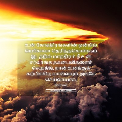 Picture 05 - உபாகமம் 12:14 TAMIRV - உன் - Bible Verse Picture