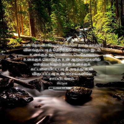 Picture 05 - உபாகமம் 12:21 TAMIRV - உன் தேவனாகிய - Bible Verse Picture