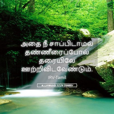 Picture 05 - உபாகமம் 12:24 TAMIRV - அதை நீ - Bible Verse Picture