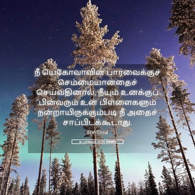 Picture 05 - உபாகமம் 12:25 TAMIRV - நீ யெகோவாவின் - Bible Verse Picture