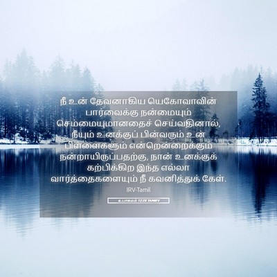 Picture 05 - உபாகமம் 12:28 TAMIRV - நீ உன் தேவனாகிய - Bible Verse Picture
