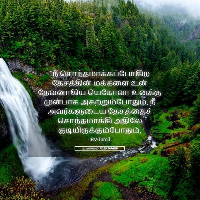 Picture 05 - உபாகமம் 12:29 TAMIRV - “நீ - Bible Verse Picture