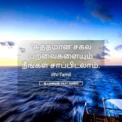 Picture 05 - உபாகமம் 14:11 TAMIRV - “சுத்தமான சகல - Bible Verse Picture