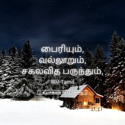Picture 05 - உபாகமம் 14:13 TAMIRV - பைரியும், - Bible Verse Picture