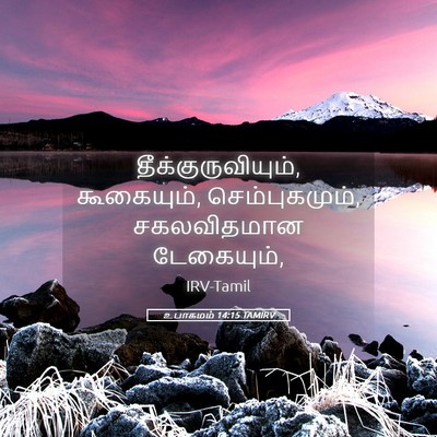 Picture 05 - உபாகமம் 14:15 TAMIRV - தீக்குருவியும், - Bible Verse Picture
