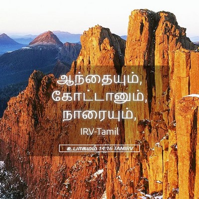 Picture 05 - உபாகமம் 14:16 TAMIRV - ஆந்தையும், - Bible Verse Picture