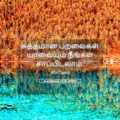 Picture 05 - உபாகமம் 14:20 TAMIRV - சுத்தமான பறவைகள் - Bible Verse Picture