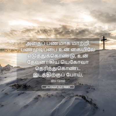 Picture 05 - உபாகமம் 14:25 TAMIRV - அதைப் பணமாக - Bible Verse Picture