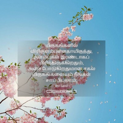 Picture 05 - உபாகமம் 14:6 TAMIRV - மிருகங்களில் - Bible Verse Picture