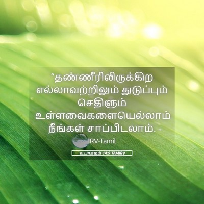 Picture 05 - உபாகமம் 14:9 TAMIRV -  - Bible Verse Picture