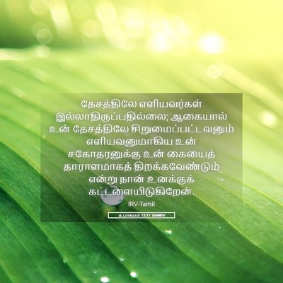 Picture 05 - உபாகமம் 15:11 TAMIRV - தேசத்திலே - Bible Verse Picture