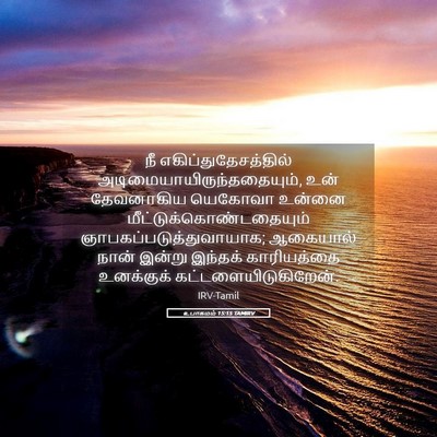 Picture 05 - உபாகமம் 15:15 TAMIRV - நீ - Bible Verse Picture