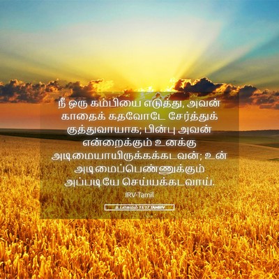 Picture 05 - உபாகமம் 15:17 TAMIRV - நீ ஒரு கம்பியை - Bible Verse Picture