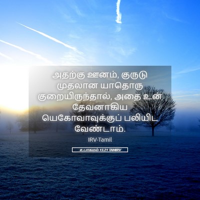 Picture 05 - உபாகமம் 15:21 TAMIRV - அதற்கு ஊனம், - Bible Verse Picture