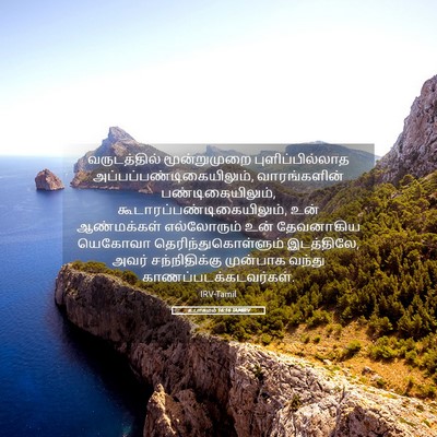 Picture 05 - உபாகமம் 16:16 TAMIRV - வருடத்தில் - Bible Verse Picture