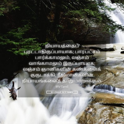 Picture 05 - உபாகமம் 16:19 TAMIRV - நியாயத்தைப் - Bible Verse Picture