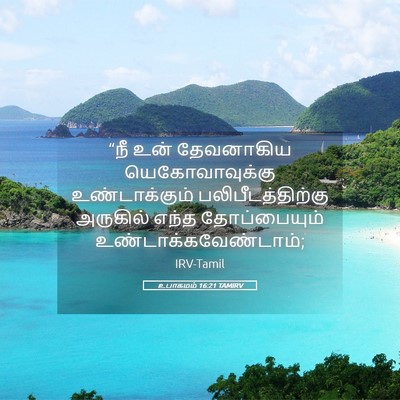 Picture 05 - உபாகமம் 16:21 TAMIRV - “நீ உன் தேவனாகிய - Bible Verse Picture