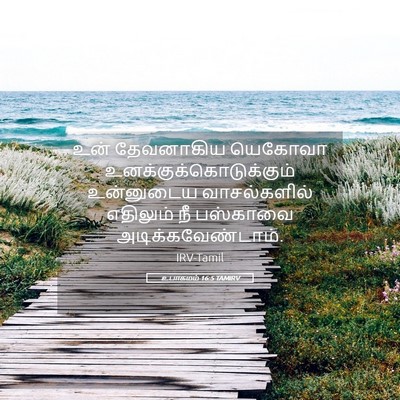 Picture 05 - உபாகமம் 16:5 TAMIRV - உன் தேவனாகிய - Bible Verse Picture