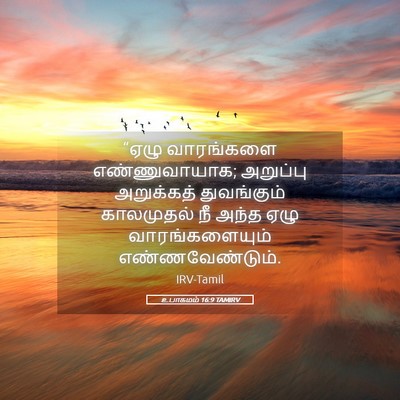 Picture 05 - உபாகமம் 16:9 TAMIRV - “ஏழு வாரங்களை - Bible Verse Picture