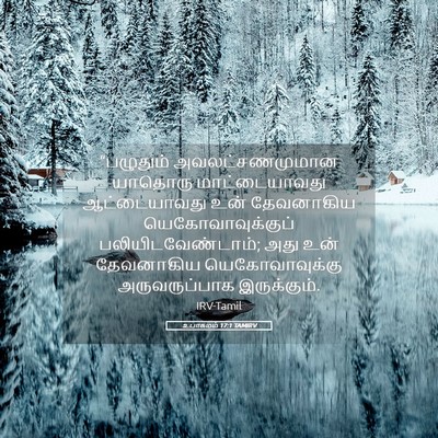 Picture 05 - உபாகமம் 17:1 TAMIRV - “பழுதும் - Bible Verse Picture