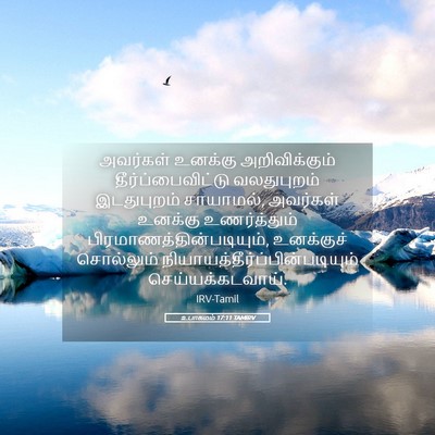 Picture 05 - உபாகமம் 17:11 TAMIRV - அவர்கள் உனக்கு - Bible Verse Picture