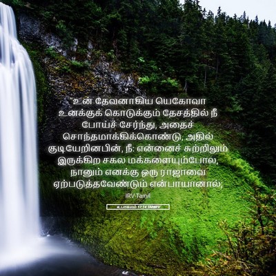 Picture 05 - உபாகமம் 17:14 TAMIRV - “உன் தேவனாகிய - Bible Verse Picture