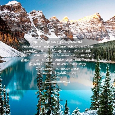 Picture 05 - உபாகமம் 17:16 TAMIRV - அவன் அநேக - Bible Verse Picture