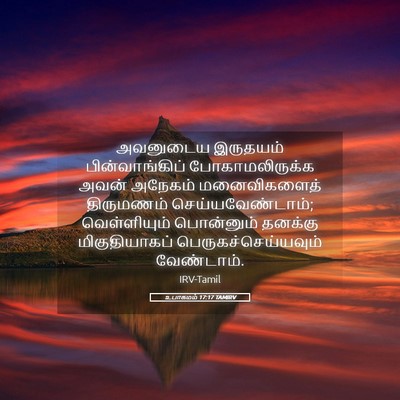 Picture 05 - உபாகமம் 17:17 TAMIRV - அவனுடைய இருதயம் - Bible Verse Picture